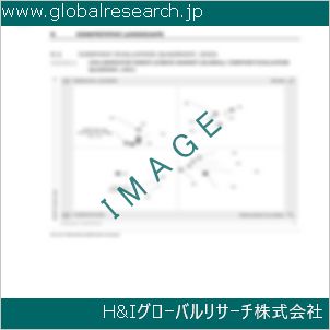 グローバルリサーチ調査資料のイメージ